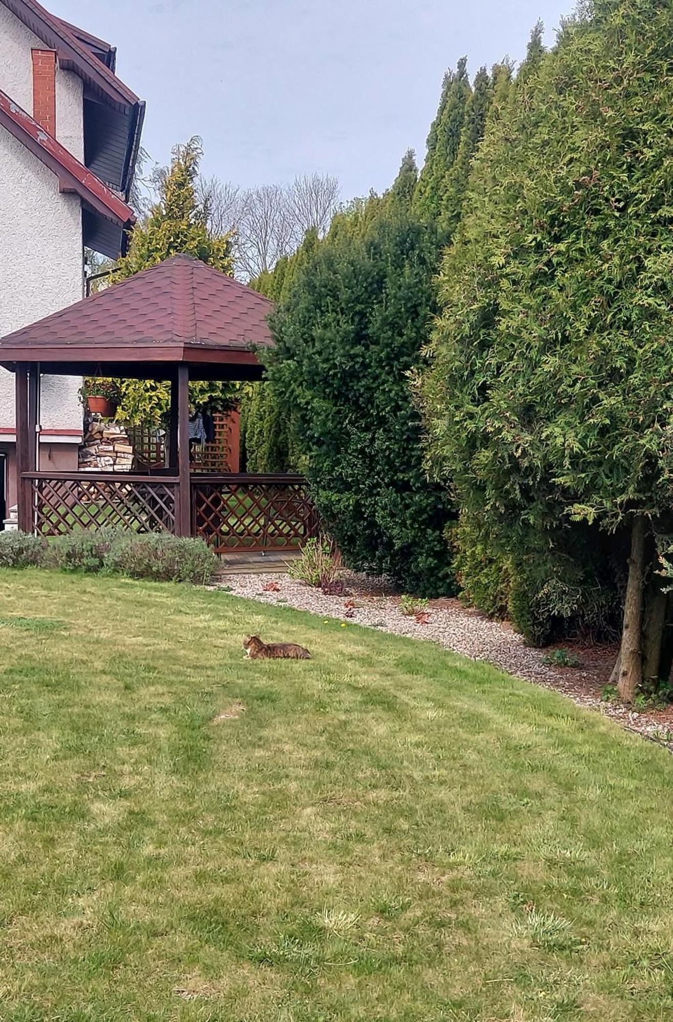 Ferienwohnung Wanta Kolberg Exterior foto